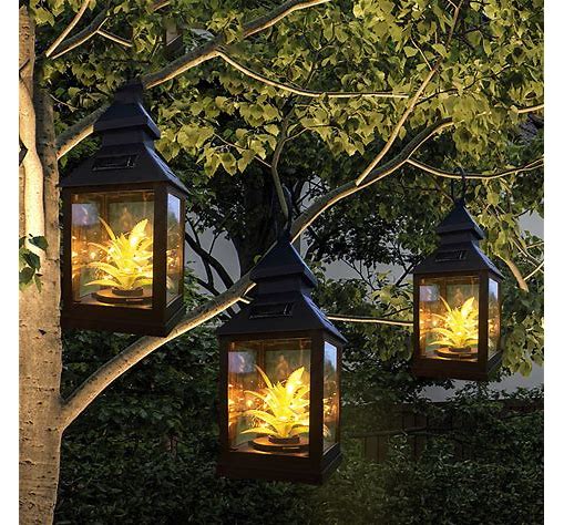 Outdoor LED Solar Night Light